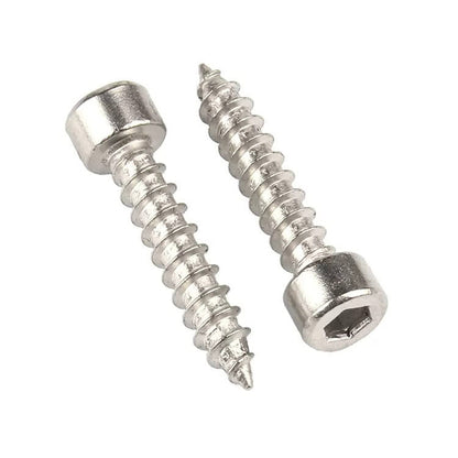 M2 Socket Head Self Tapping Screws - Stainless A2